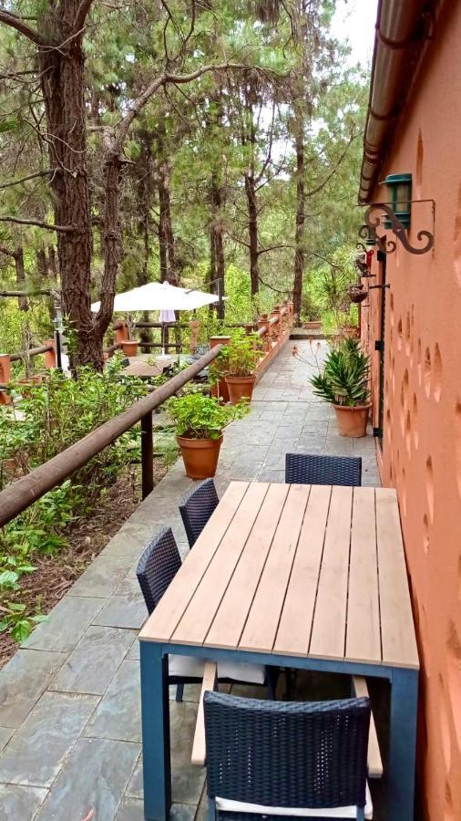 Casa Rural En Medio Del Bosque, El Lance Firgas 외부 사진