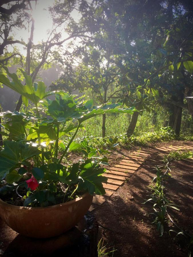 Casa Rural En Medio Del Bosque, El Lance Firgas 외부 사진