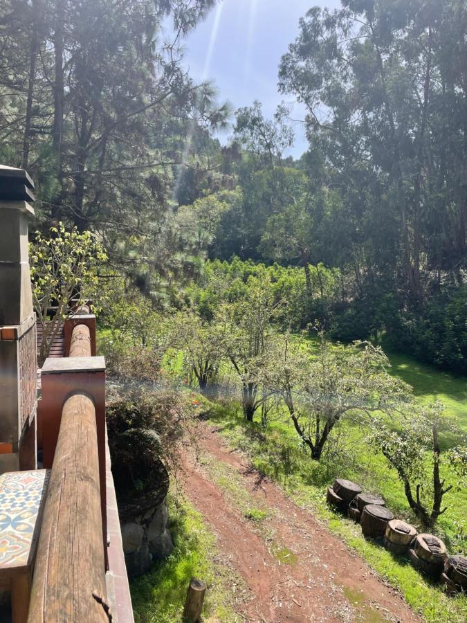 Casa Rural En Medio Del Bosque, El Lance Firgas 외부 사진