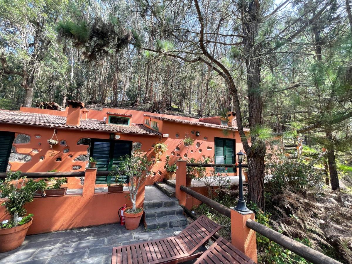 Casa Rural En Medio Del Bosque, El Lance Firgas 외부 사진