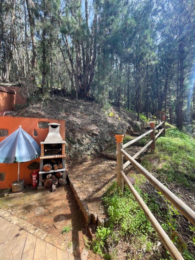 Casa Rural En Medio Del Bosque, El Lance Firgas 외부 사진