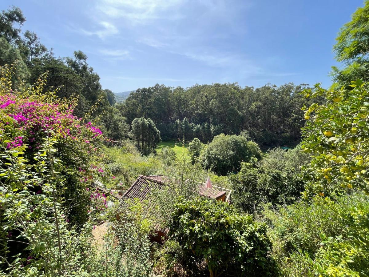 Casa Rural En Medio Del Bosque, El Lance Firgas 외부 사진