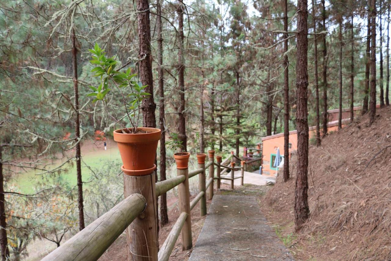 Casa Rural En Medio Del Bosque, El Lance Firgas 외부 사진