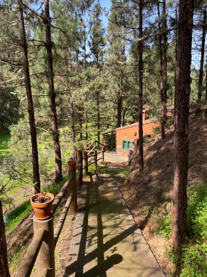 Casa Rural En Medio Del Bosque, El Lance Firgas 외부 사진