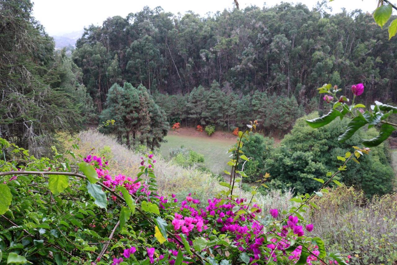 Casa Rural En Medio Del Bosque, El Lance Firgas 외부 사진